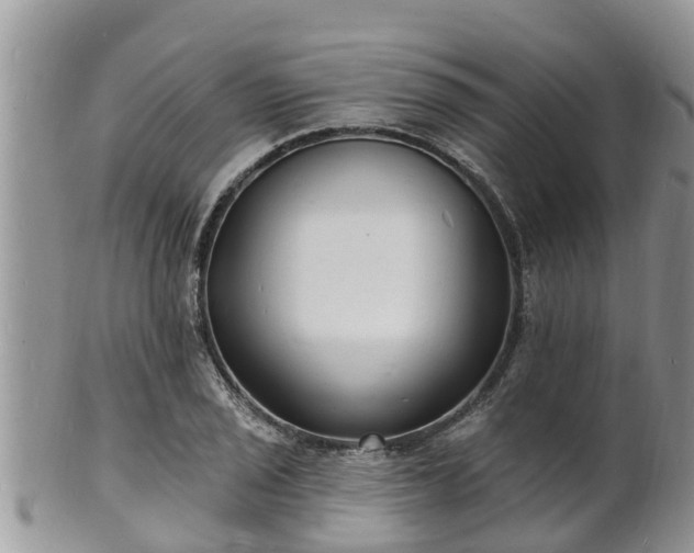 X0000102231029200808011220