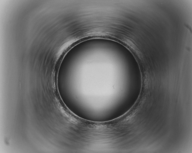 X0000102231030200808011220