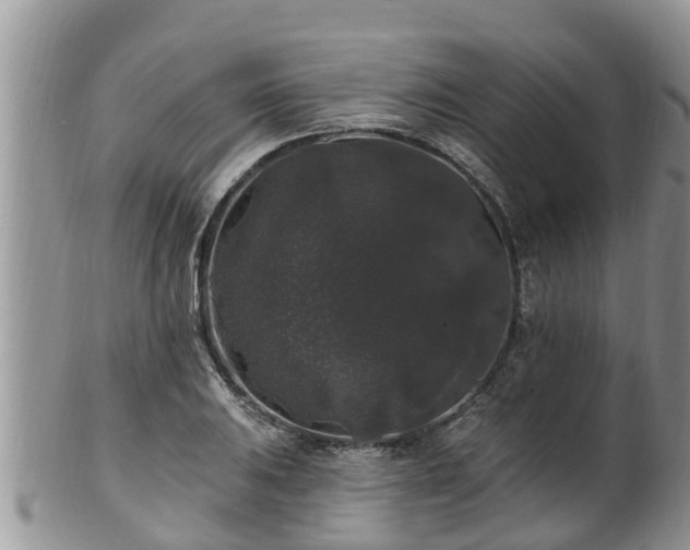 X0000102231031200808011220