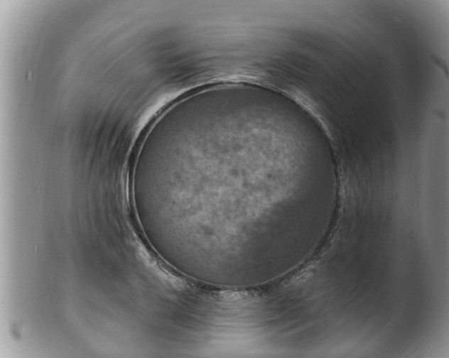 X0000102231032200808011220