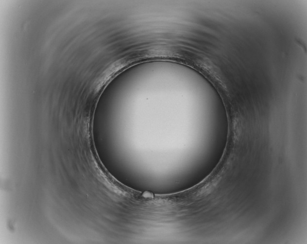 X0000102231033200808011220
