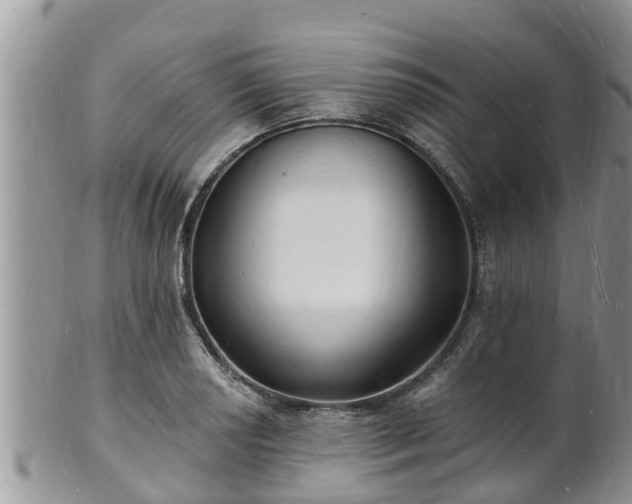 X0000102231034200808011220