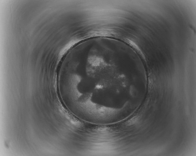 X0000102231035200808011220
