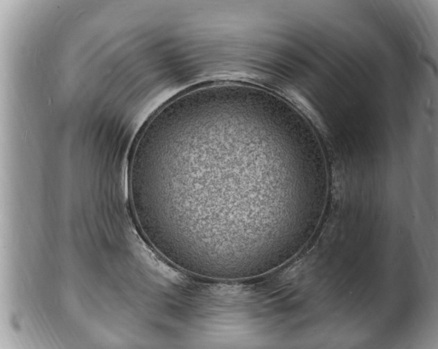 X0000102231036200808011220