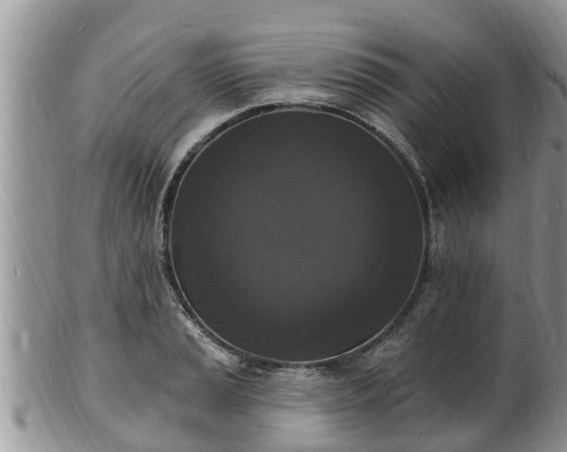 X0000102231037200808011220
