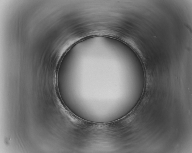 X0000102231040200808011220