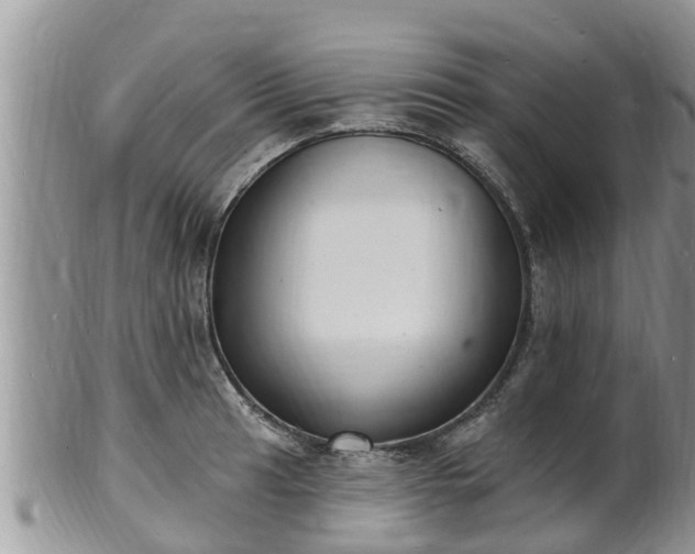X0000102231041200808011221