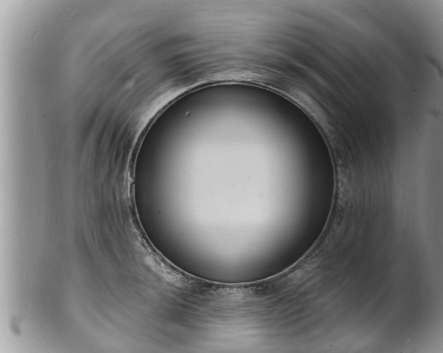 X0000102231044200808011221