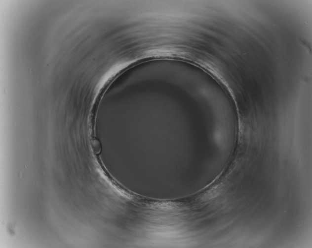 X0000102231045200808011221