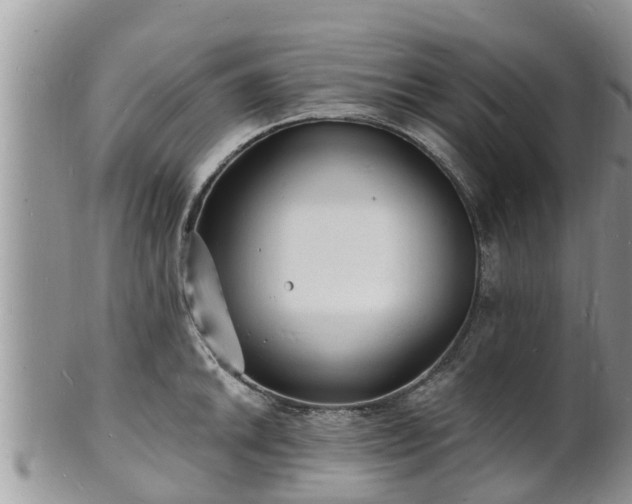 X0000102231046200808011221