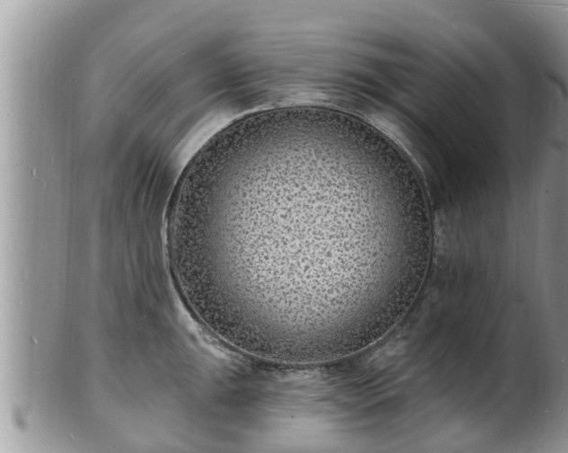 X0000102231047200808011221