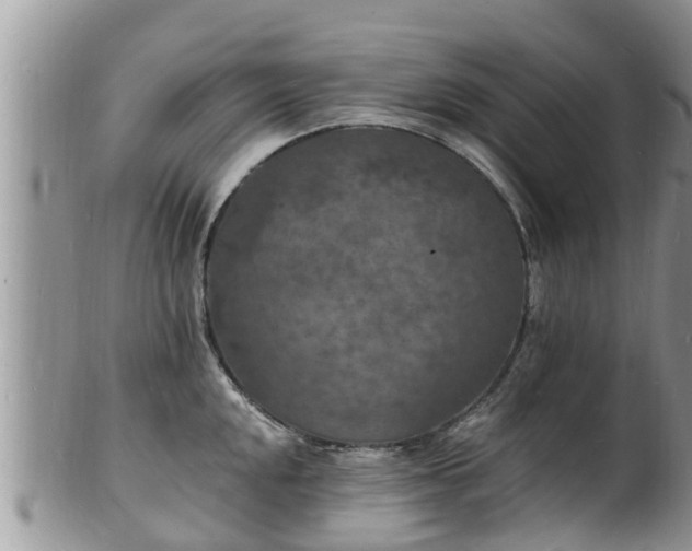 X0000102231048200808011221