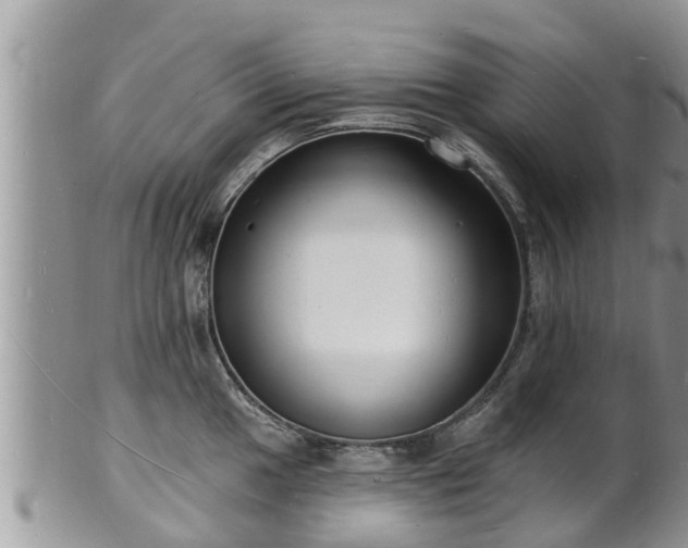 X0000102231049200808011221