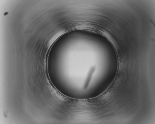 X0000102231050200808011221