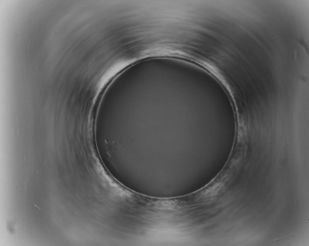 X0000102231053200808011221
