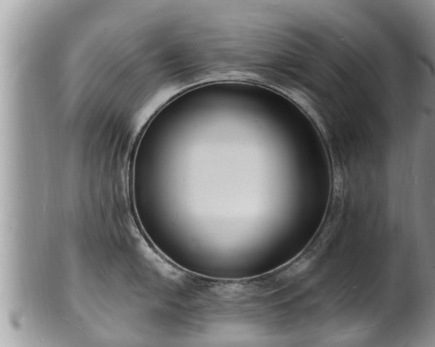 X0000102231054200808011221