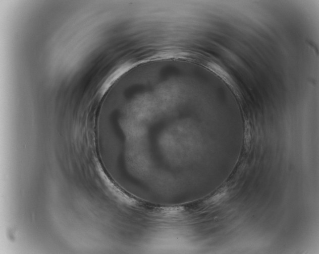 X0000102231055200808011221