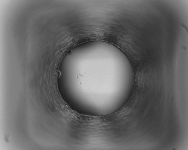 X0000102231057200808011220