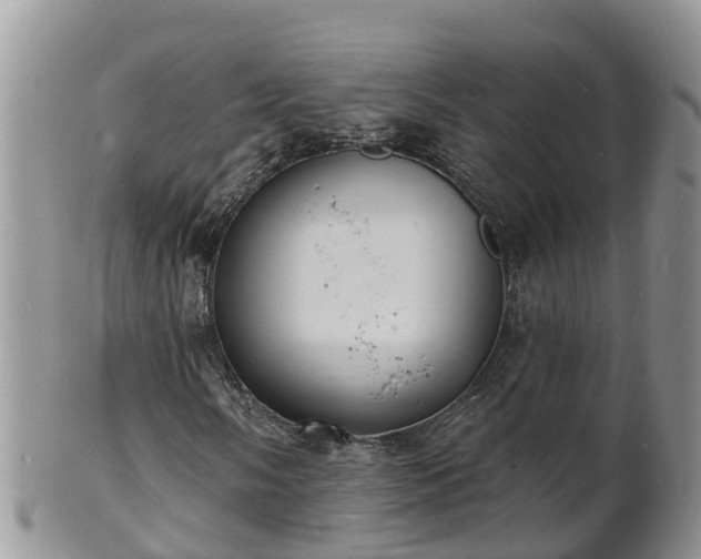 X0000102231058200808011220