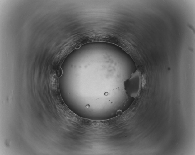 X0000102231059200808011220