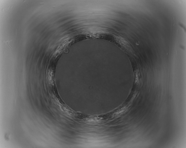 X0000102231060200808011220