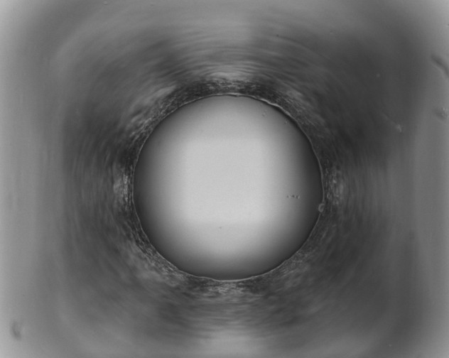 X0000102231061200808011220