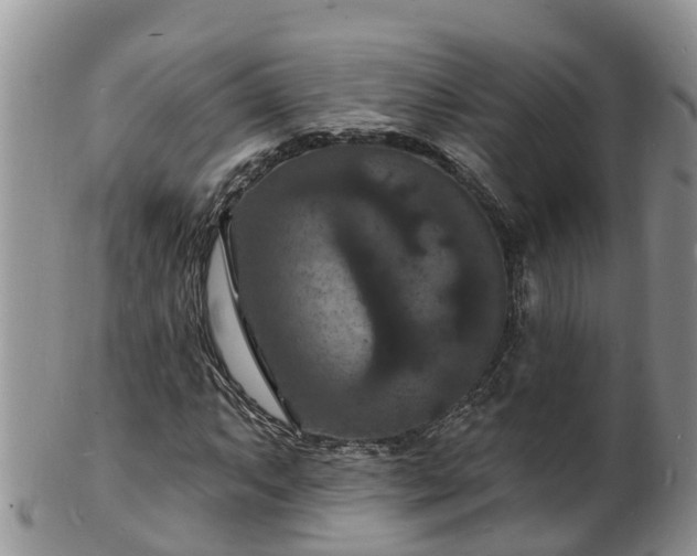 X0000102231063200808011220