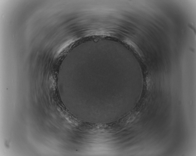 X0000102231064200808011220
