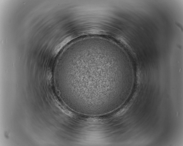 X0000102231065200808011220