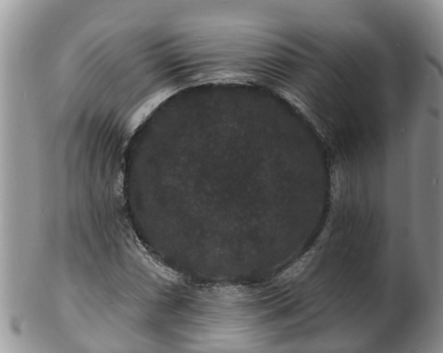 X0000102231066200808011220