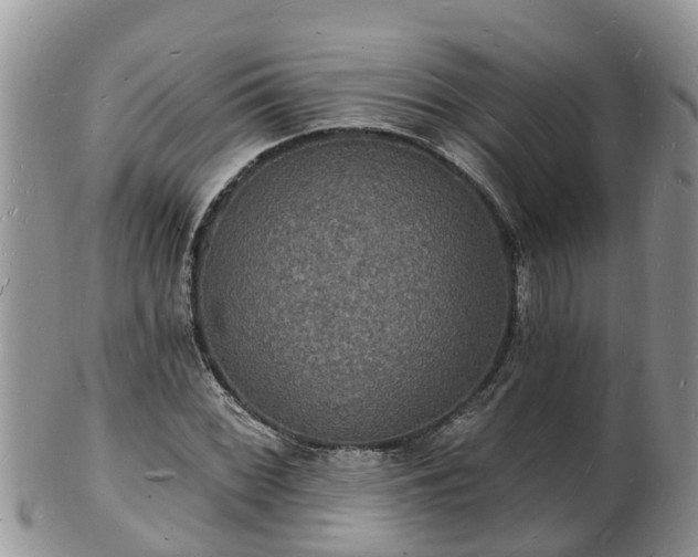 X0000102231068200808011220