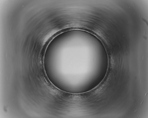 X0000102231070200808011220