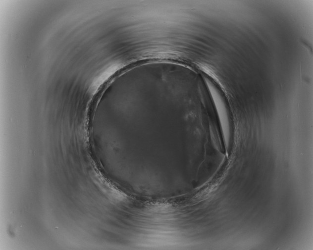 X0000102231071200808011220