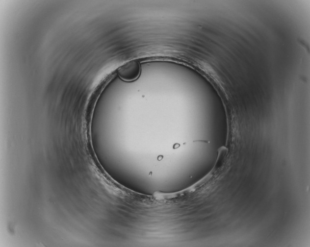X0000102231072200808011220