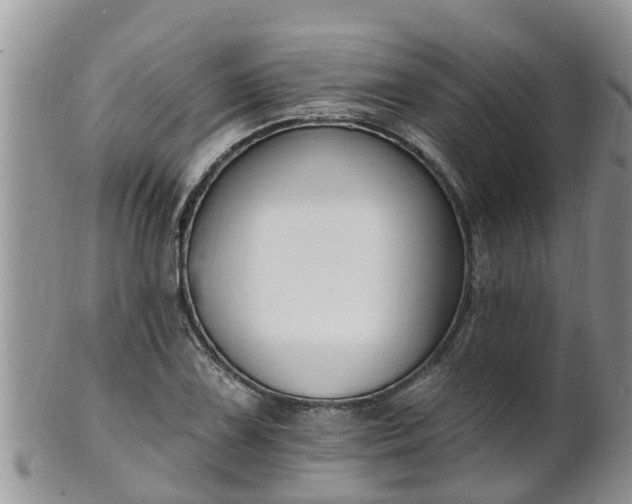 X0000102231075200808011220