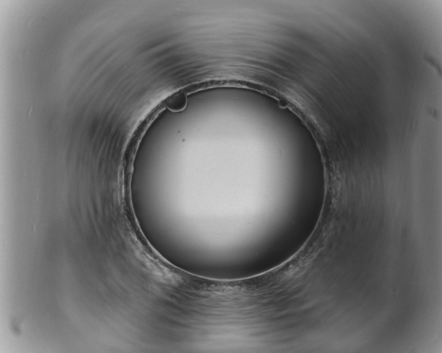 X0000102231076200808011220