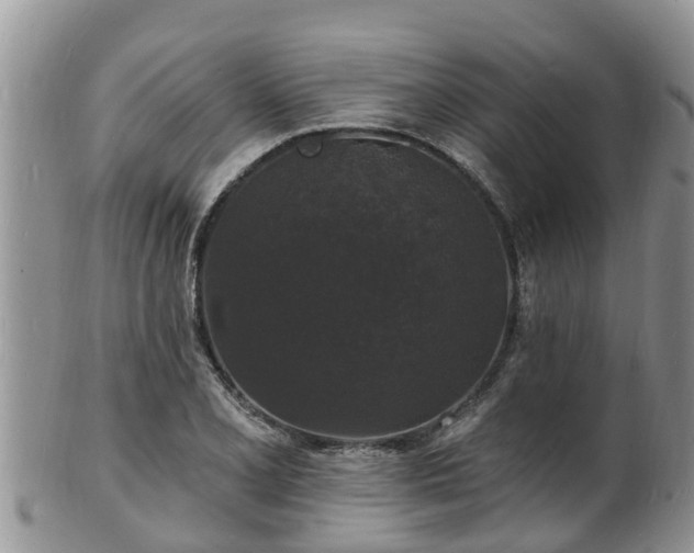 X0000102231077200808011220