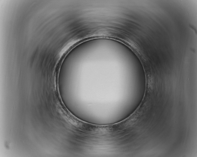 X0000102231078200808011220