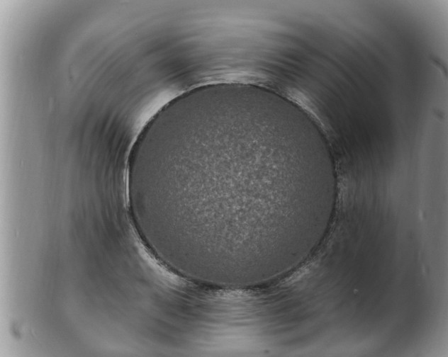 X0000102231079200808011220