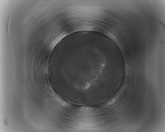X0000102231081200808011220
