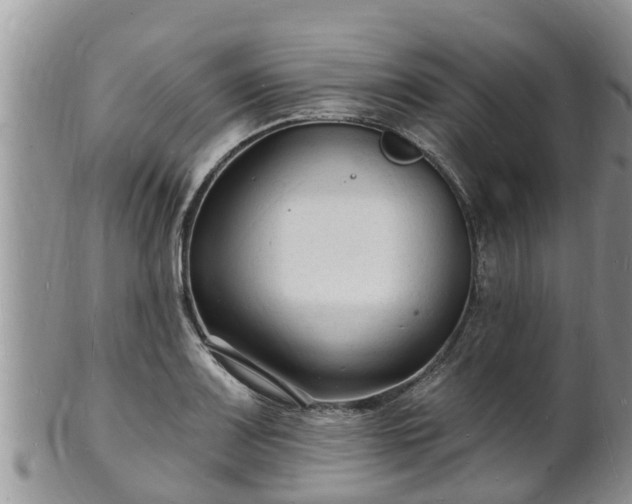X0000102231083200808011219
