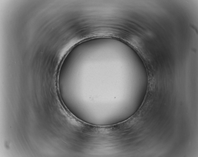 X0000102231086200808011219