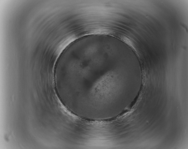 X0000102231087200808011219