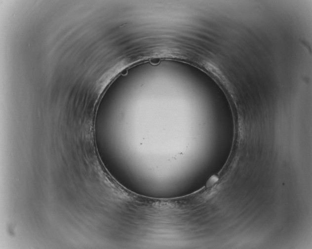 X0000102231089200808011219