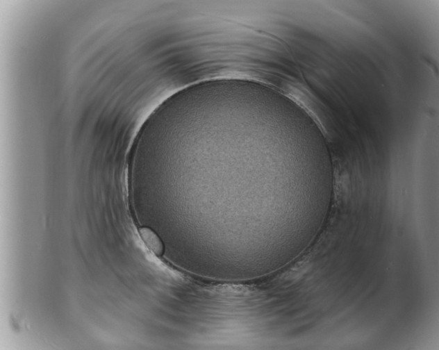 X0000102231092200808011219