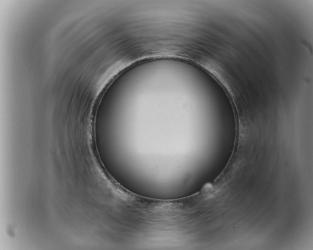 X0000102231093200808011219