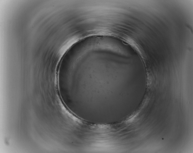 X0000102231095200808011219