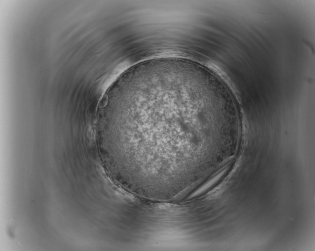 X0000102231097200808011219