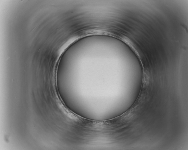 X0000102231098200808011219