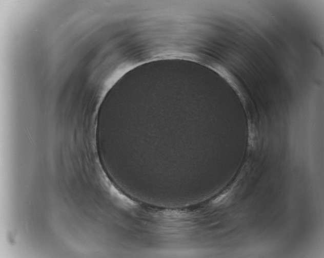 X0000102231102200808011219